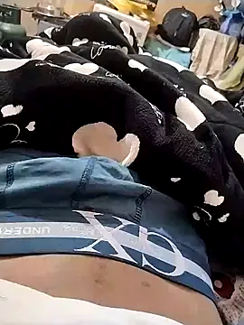EMERKITHO_20_R webcam