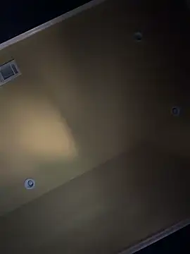 dingoding webcam