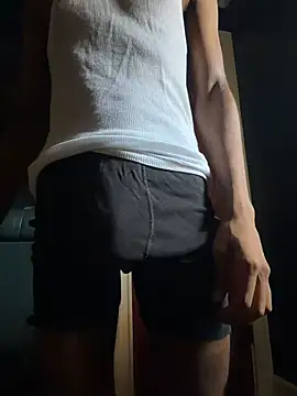 dingoding webcam