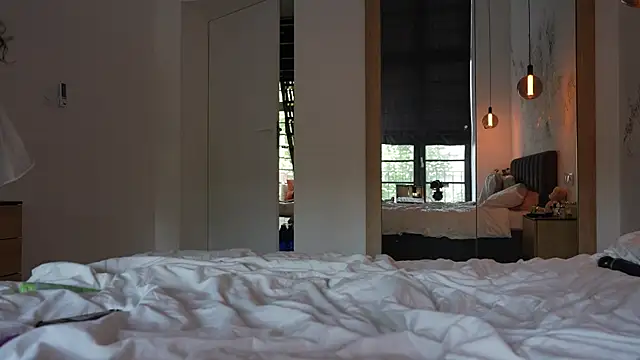 ibiddi webcam
