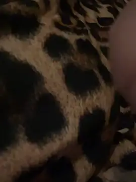 maaluh live cam on StripChat