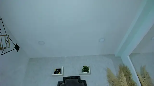 DylanRoyce_ webcam