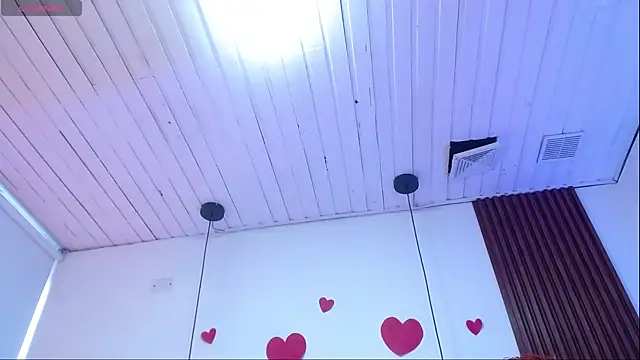 Haddes_as webcam