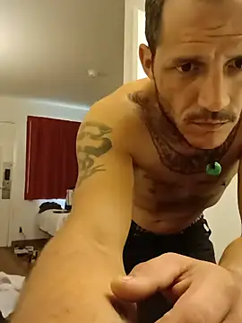 ToTrue8287 webcam