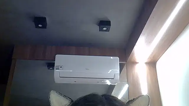 SkinnyKitten webcam