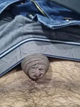 aashish51515 (M young) - #big-cocks #black-hair #cam2cam #cheapest-privates #cock-rating #dirty-talk #ejaculation #gujarati #hairy #handjob #hd #hindi #indian #jerk-off-instruction #massage #masturbation #medium #mobile #new #penis-ring #precum #recordable-publics #rubbing #sexting #shower #spanking #straight #young