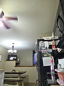 MrMechanic40 webcam