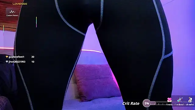 Joylopez_fit webcam