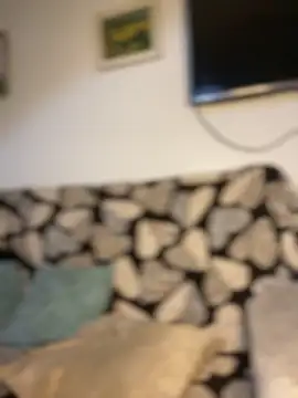 Carola-Ross webcam