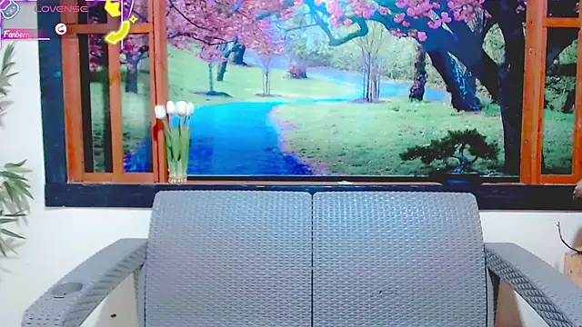 britanny_noroeste webcam