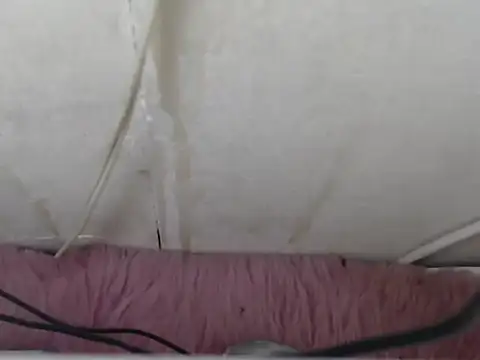 asianmiya08 webcam