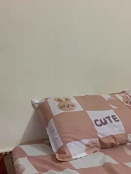 Summ_vn webcam