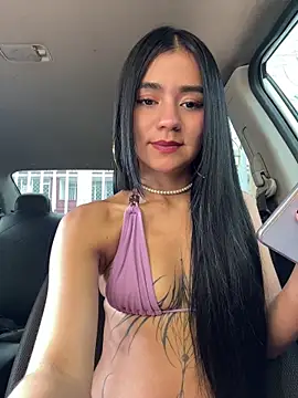 Dakota-fire webcam