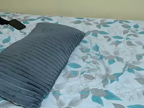 lynnsee webcam