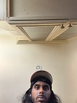 dingoding webcam