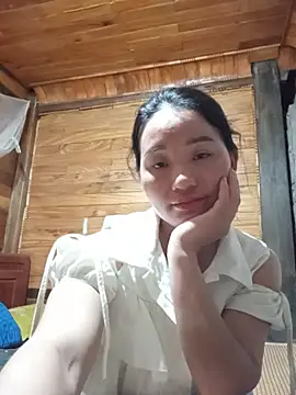 Td3di webcam