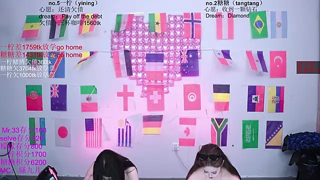 CCTW-100 webcam