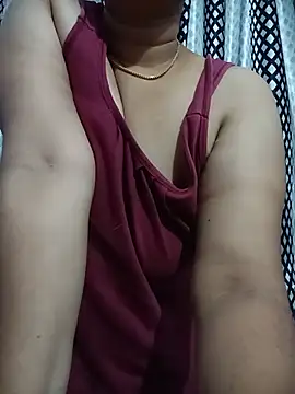 Hansikatelugu webcam