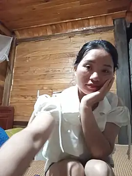 Td3di webcam