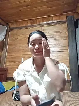 Td3di webcam