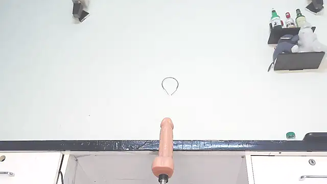 ElegantMiss webcam