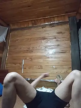 Td3di webcam