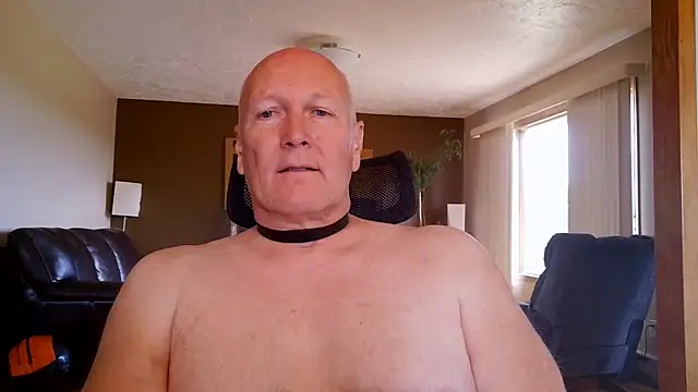 BasicAnt webcam
