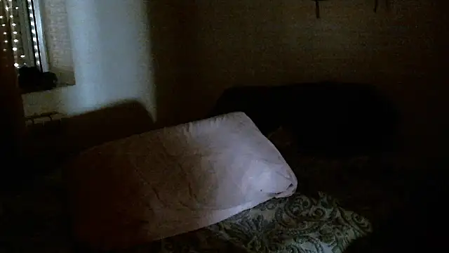 bravo23toro webcam