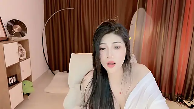 Vaidurya-Yolo webcam