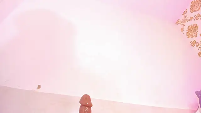emaa_lambert webcam