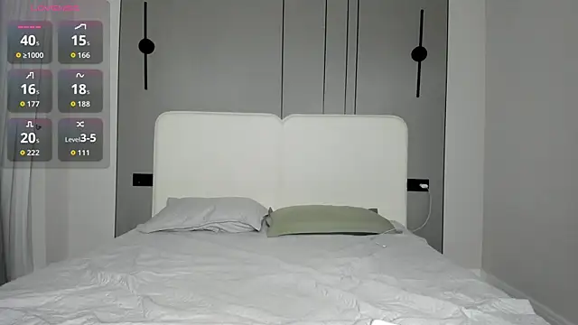 Maakimita webcam