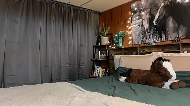 ella2sweet webcam