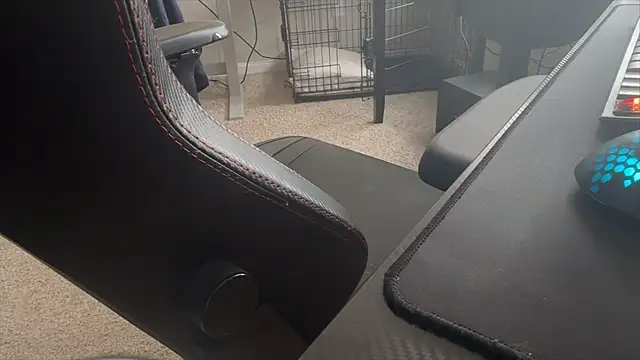 LatinFurBall webcam