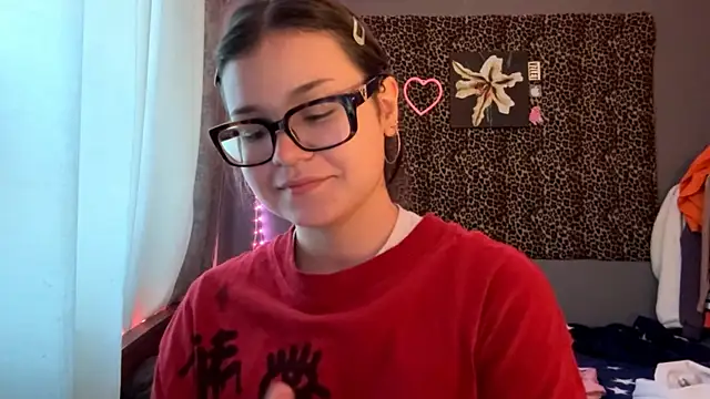 StellaCors webcam