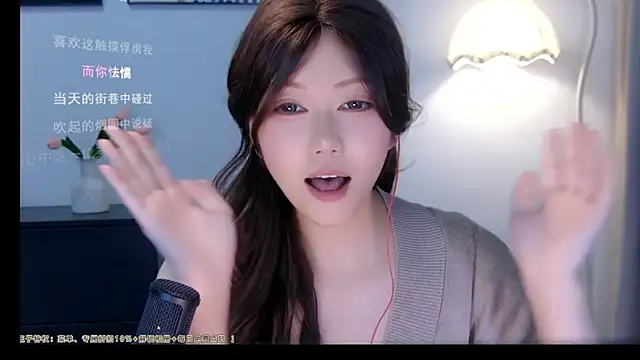 xiaomao-2026 webcam