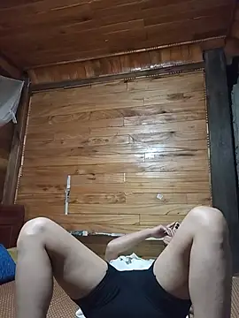 Td3di webcam