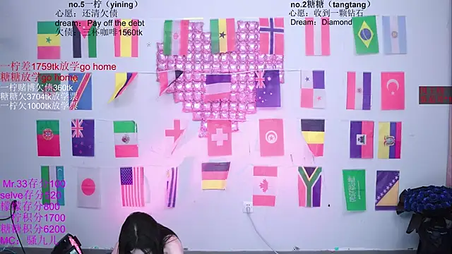 CCTW-100 webcam