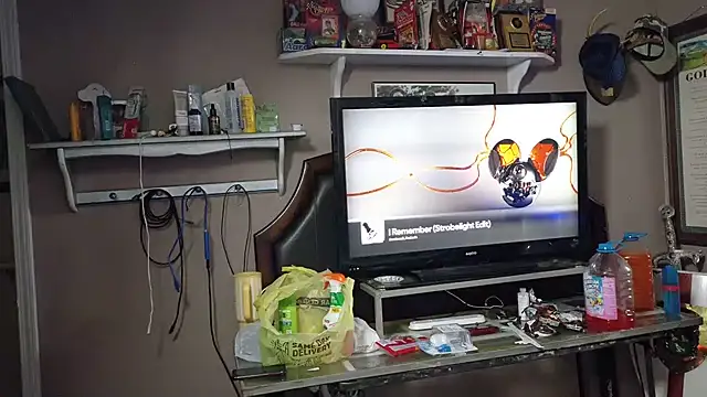 PNPSPUN1 webcam