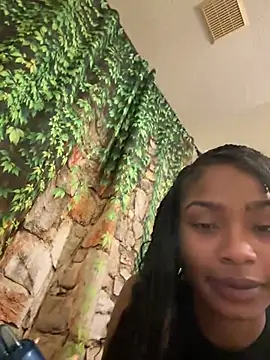skylarrylee webcam