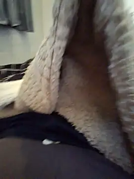 mfreitas005 live cam on StripChat