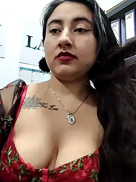 _Sarah-Office1 webcam