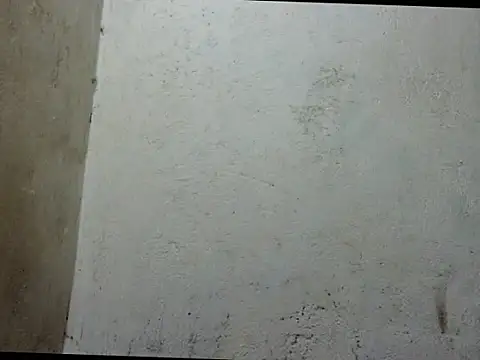 asianhardcockts69 webcam