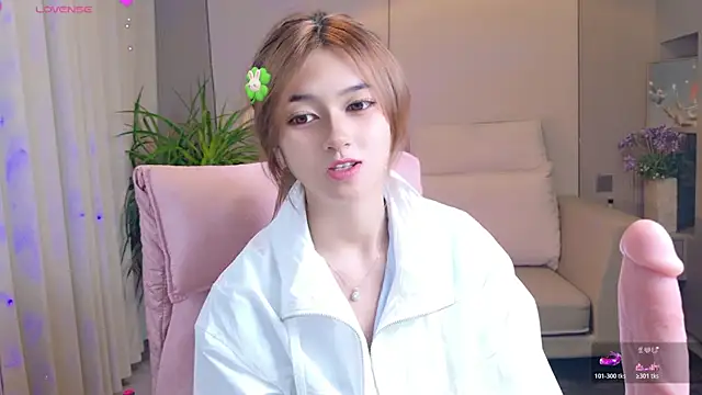 DoDo-2026 webcam
