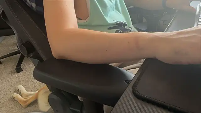 LatinFurBall webcam