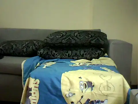 FINDMATE webcam