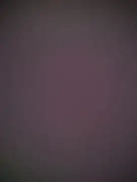 Snezhana live cam on StripChat