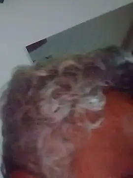 mature55 webcam