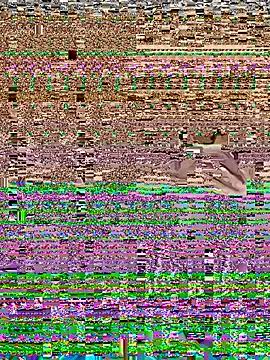 Hello_honey webcam