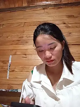 Td3di webcam