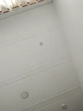 Rose_F0x webcam